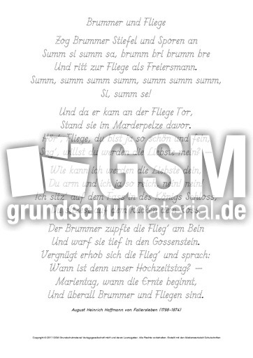 Brummer-und-Fliege-Fallersleben-GS.pdf